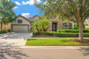 6008 WATERCOLOR DRIVE, LITHIA, FL 33547 - MLS#MFRTB8425723