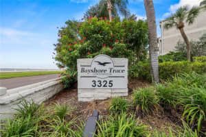3325 Bayshore Blvd #c11, TAMPA