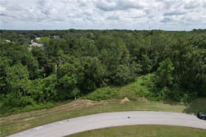 2856 CHARTWELL CIRCLE, HERNANDO, FL 34442 - MLS#MFRTB8425781