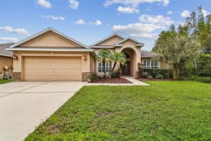 19207 Robin Perch Ln, TAMPA