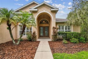 19207 ROBIN PERCH LANE, TAMPA, FL 33647 - MLS#MFRTB8425791