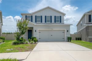 17992 DAIRY FARM COURT, LAND O LAKES, FL 34638 - MLS#MFRTB8425796