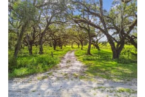16350 US HIGHWAY 41, SPRING HILL, FL 34610 - MLS#MFRTB8425802