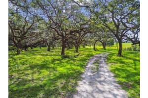 16350 US HIGHWAY 41, SPRING HILL, FL 34610 - MLS#MFRTB8425802