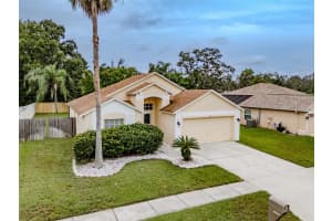 5403 WATSON ROAD, RIVERVIEW, FL 33578 - MLS#MFRTB8425804