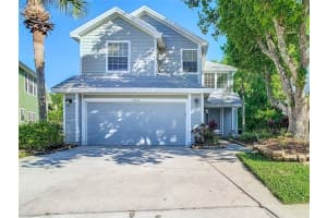 16010 Westerham Dr, TAMPA