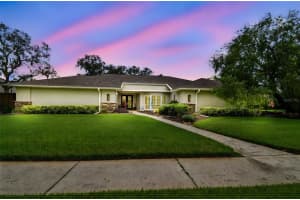 5009 CHATTAM LANE, TAMPA, FL 33624 - MLS#MFRTB8425833