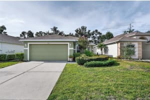 2911 Banyan Hill Ln, LAND O LAKES