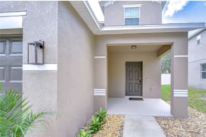 12523 FIELD POINT WAY, SPRING HILL, FL 34610 - MLS#MFRTB8425849