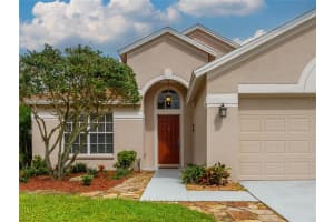 24241 BRANCHWOOD COURT, LUTZ, FL 33559 - MLS#MFRTB8425857