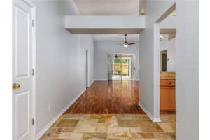 24241 BRANCHWOOD COURT, LUTZ, FL 33559 - MLS#MFRTB8425857