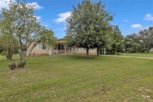 33907 CODDLE COURT, WESLEY CHAPEL, FL 33543 - MLS#MFRTB8425868