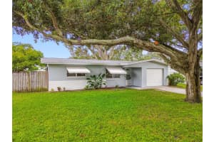 1119 Jackmar Rd, DUNEDIN