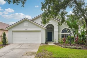 12323 GLENFIELD AVENUE, TAMPA, FL 33626 - MLS#MFRTB8425873