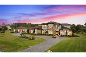 12405 STONELAKE RANCH BLVD, THONOTOSASSA, FL 33592 - MLS#MFRTB8425912