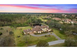 12405 STONELAKE RANCH BLVD, THONOTOSASSA, FL 33592 - MLS#MFRTB8425912