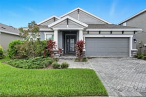 17714 EVERLONG DRIVE, LAND O LAKES, FL 34638 - MLS#MFRTB8425946