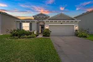 8635 BOWER BASS CIRCLE, WESLEY CHAPEL, FL 33545 - MLS#MFRTB8425950