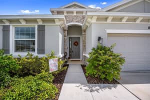 8635 BOWER BASS CIRCLE, WESLEY CHAPEL, FL 33545 - MLS#MFRTB8425950