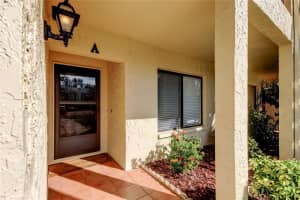 1801 LAKE ROAD, PALM HARBOR, FL 34685 - MLS#MFRTB8425955