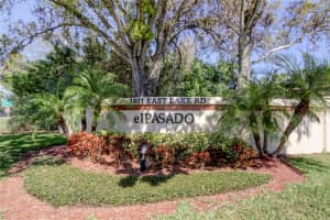 1801 LAKE ROAD, PALM HARBOR, FL 34685 - MLS#MFRTB8425955