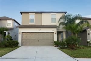 4712 Norman Oak Pl, TAMPA