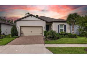 18629 COASTAL SHORE TERRACE, LAND O LAKES, FL 34638 - MLS#MFRTB8425979