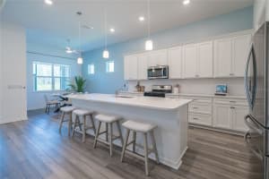 18629 COASTAL SHORE TERRACE, LAND O LAKES, FL 34638 - MLS#MFRTB8425979
