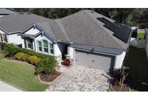921 NIGHT SONG STREET, VALRICO, FL 33594 - MLS#MFRTB8425986