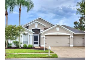 1436 Baythorn Dr, WESLEY CHAPEL