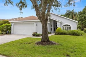 12957 ROYAL GEORGE AVENUE, ODESSA, FL 33556 - MLS#MFRTB8425990