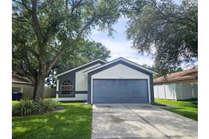 1407 Mohrlake Dr, BRANDON