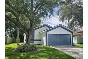 1407 MOHRLAKE DRIVE, BRANDON, FL 33511 - MLS#MFRTB8425991