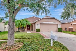 10508 Early Light Ct, RIVERVIEW