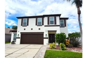 31307 CHATTERLY DRIVE, WESLEY CHAPEL, FL 33543 - MLS#MFRTB8426046