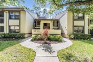 129 WOODLAKE WYNDE #129, OLDSMAR, FL 34677 - MLS#MFRTB8426049