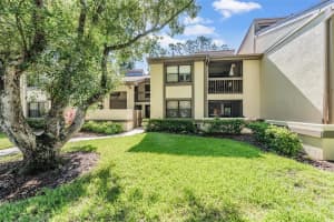 129 WOODLAKE WYNDE #129, OLDSMAR, FL 34677 - MLS#MFRTB8426049