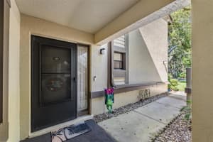129 WOODLAKE WYNDE #129, OLDSMAR, FL 34677 - MLS#MFRTB8426049