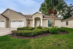 10562 Alvarado Ct, SEMINOLE