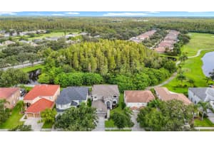 4219 HARBOR LAKE DRIVE, LUTZ, FL 33558 - MLS#MFRTB8426083