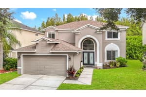 4219 HARBOR LAKE DRIVE, LUTZ, FL 33558 - MLS#MFRTB8426083