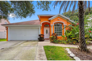 9713 Long Meadow Dr, TAMPA