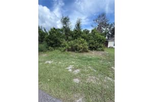 3699 DOTHAN AVENUE, SPRING HILL, FL 34609 - MLS#MFRTB8426102