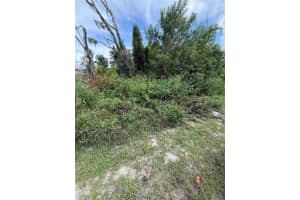 3699 DOTHAN AVENUE, SPRING HILL, FL 34609 - MLS#MFRTB8426102