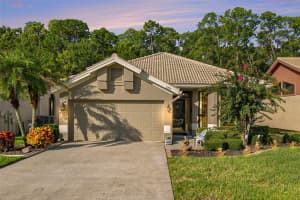 3724 Darston St, PALM HARBOR