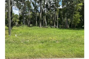 LACEY DR #93, NEW PORT RICHEY, FL 34654 - MLS#MFRTB8426119