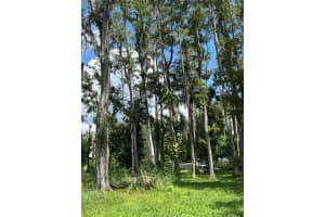 LACEY DR #93, NEW PORT RICHEY, FL 34654 - MLS#MFRTB8426119