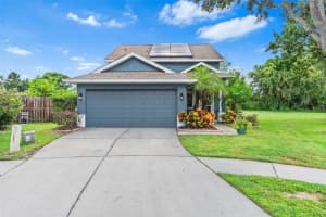 21014 Follensby Ct, LAND O LAKES