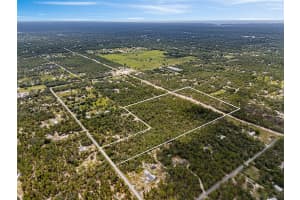 6561 SHORT POINT, HOMOSASSA, FL 34446 - MLS#MFRTB8426137
