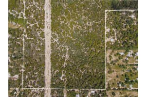 6561 SHORT POINT, HOMOSASSA, FL 34446 - MLS#MFRTB8426137